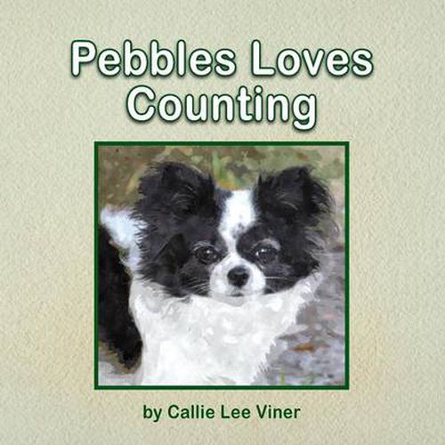 Cover image for Pebbles Loves Counting