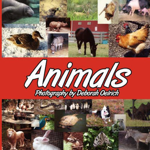 Cover image for Animals