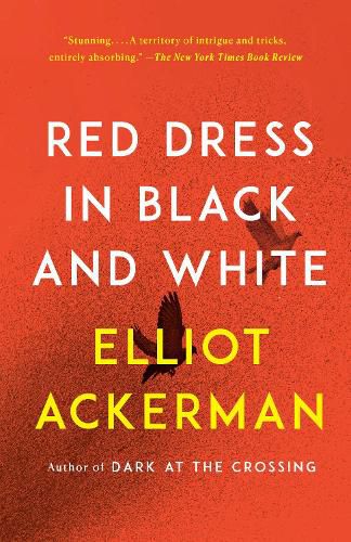 Red Dress in Black and White: A novel