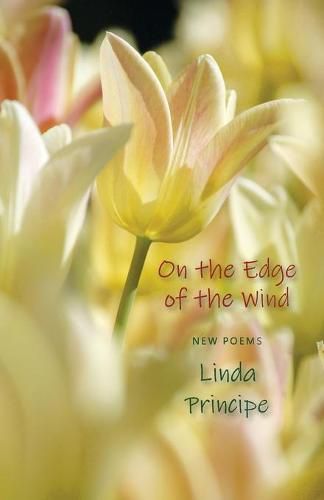 Cover image for On the Edge of the Wind