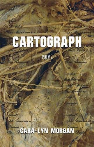 Cover image for Cartograph