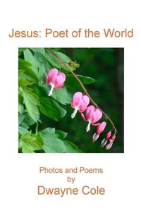 Cover image for Jesus Poet of the World