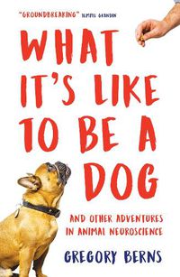 Cover image for What It's Like to Be a Dog: And Other Adventures in Animal Neuroscience