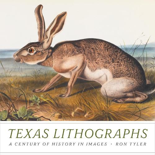 Cover image for Texas Lithographs: A Century of History in Images