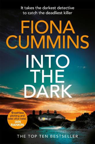 Cover image for Into the Dark