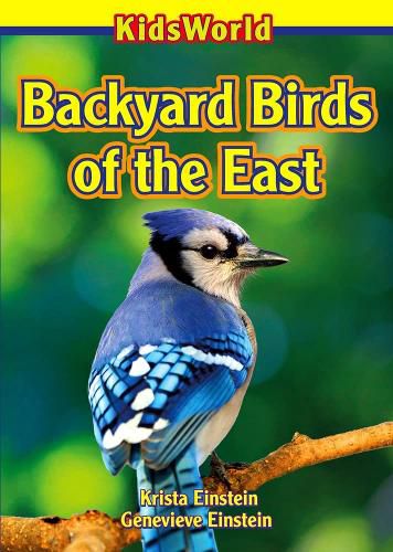 Cover image for Backyard Birds of the East