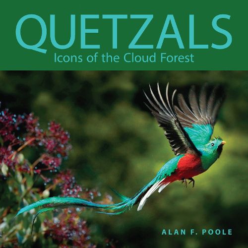 Cover image for Quetzals