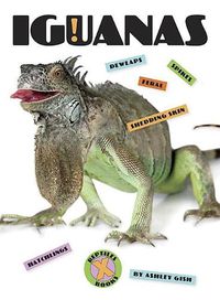 Cover image for Iguanas