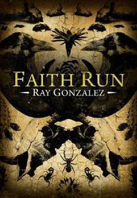 Cover image for Faith Run