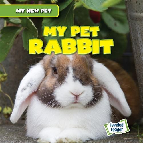 Cover image for My Pet Rabbit