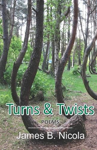 Cover image for Turns & Twists