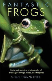 Cover image for Fantastic Frogs