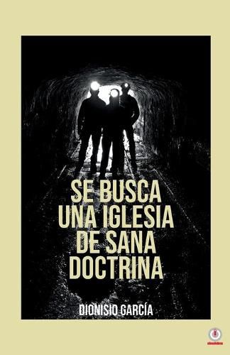 Cover image for Se busca una iglesia de sana doctrina