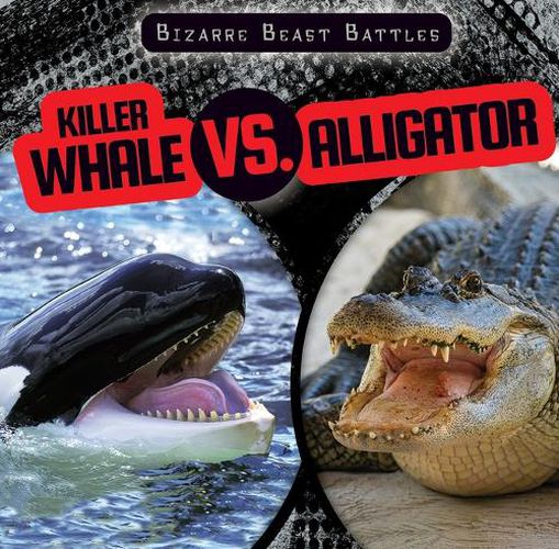 Cover image for Killer Whale vs. Alligator