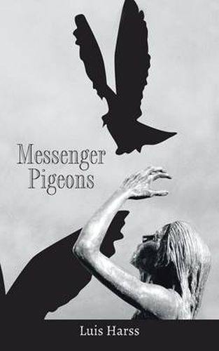 Cover image for Messenger Pigeons