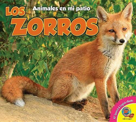 Cover image for Los Zorros