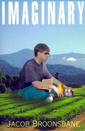 Cover image for Imaginary