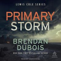 Cover image for Primary Storm