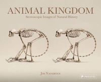 Cover image for Animal Kingdom: Stereoscopic Images of Natural History