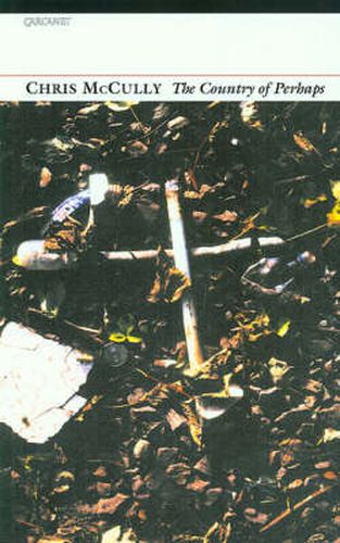 Cover image for Country of Perhaps