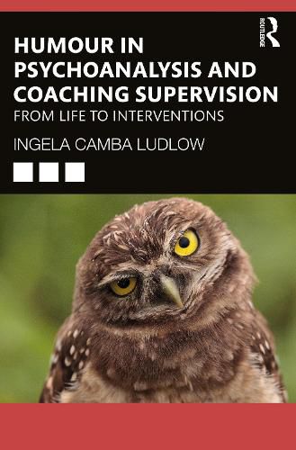 Cover image for Humour in Psychoanalysis and Coaching Supervision: From Life to Interventions