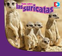 Cover image for Todo Sobre Las Suricatas