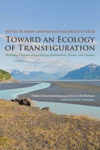 Cover image for Toward an Ecology of Transfiguration: Orthodox Christian Perspectives on Environment, Nature, and Creation