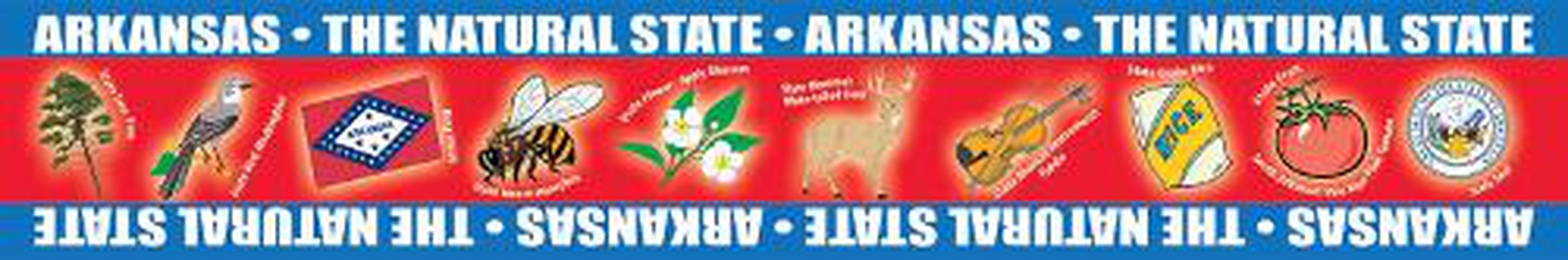 Cover image for Arkansas Borders for Bulletin Boards