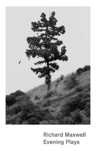 Cover image for Evening Plays