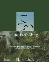 Cover image for Black Earth Rising