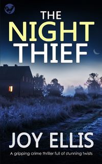 Cover image for THE NIGHT THIEF a gripping crime thriller full of stunning twists