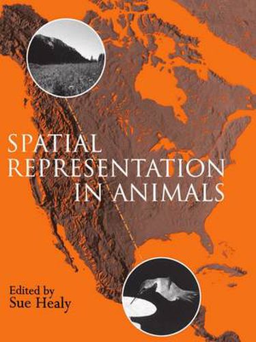 Cover image for Spatial Representation in Animals