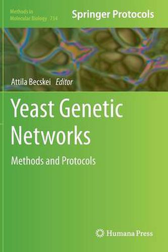 Cover image for Yeast Genetic Networks: Methods and Protocols