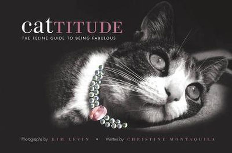 Cover image for Cattitude