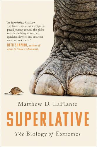 Cover image for Superlative: The Biology of Extremes