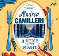 Cover image for A Voice In The Night