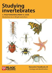 Cover image for Studying Invertebrates