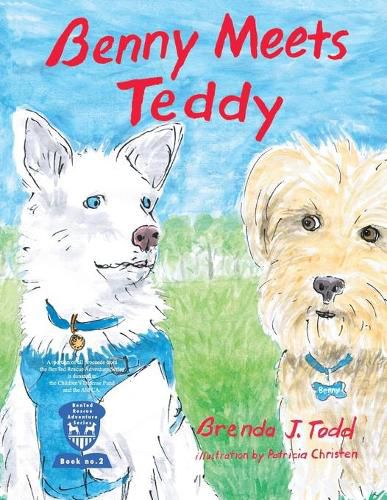 Cover image for Benny Meets Teddy