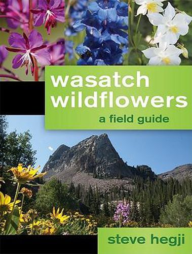Cover image for Wasatch Wildflowers