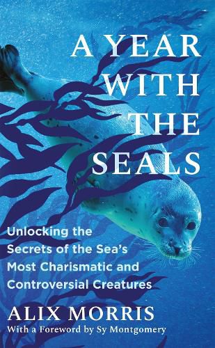 Cover image for A Year with the Seals
