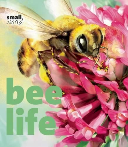 Cover image for Bee Life