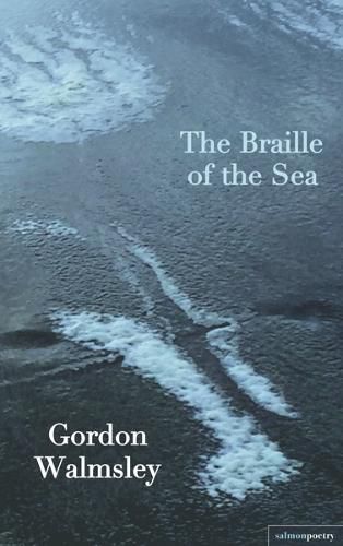 Cover image for The Braille of the Sea