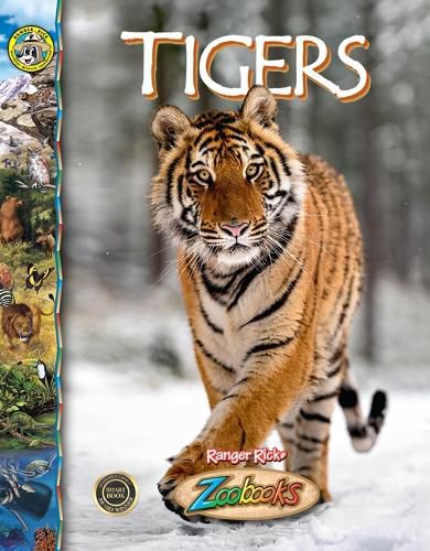 Cover image for Tigers