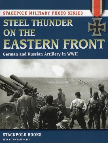 Cover image for Steel Thunder on the Eastern Front: German and Russian Artillery in WWII