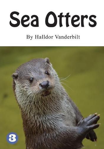 Cover image for Sea Otters