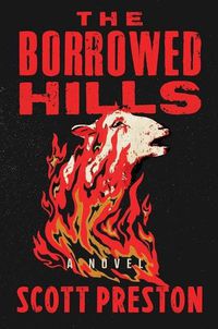 Cover image for The Borrowed Hills