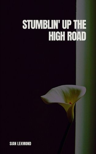 Cover image for Stumblin' Up the High Road