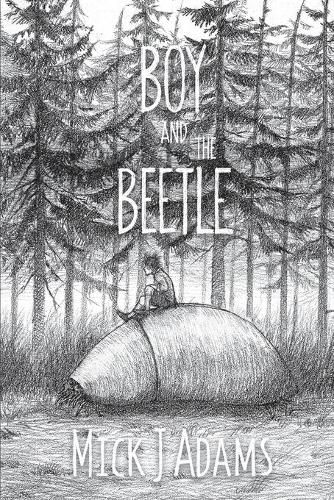 Cover image for Boy and the Beetle