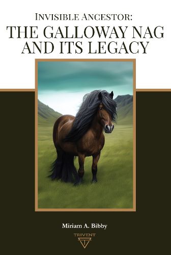 Cover image for Invisible Ancestor