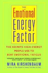 Cover image for The Emotional Energy Factor: The Secrets High-Energy People Use to Beat Emotional Fatigue